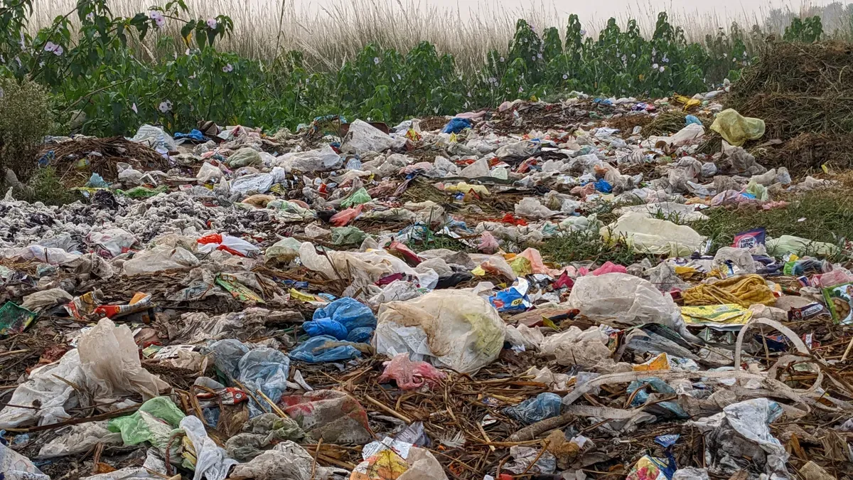 Part 2: Sustainability and Environmental Impact